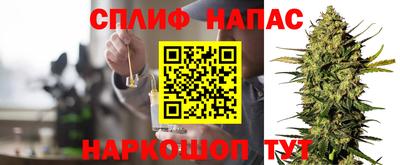 стаф Тверь