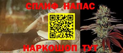 стаф Тверь