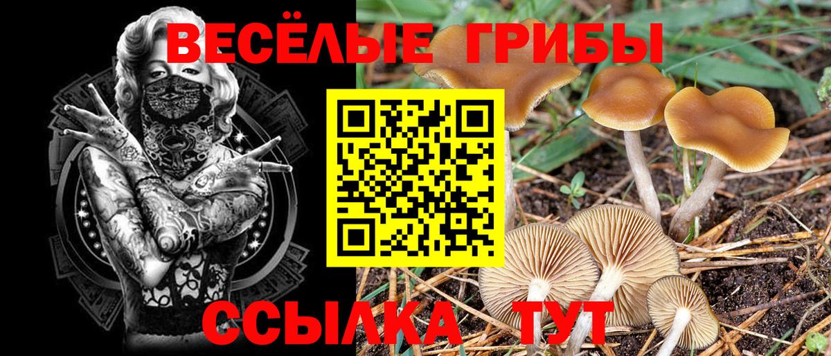 Героин Новоалександровск