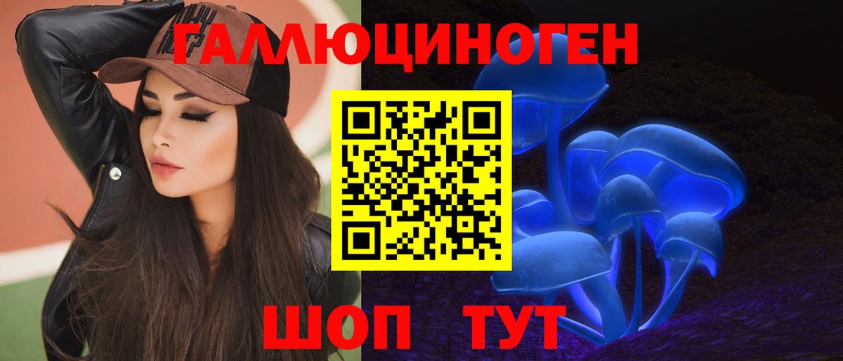 Новоалександровск  Псилоцибиновые грибы MAGIC MUSHROOMS  Вход с VPN 